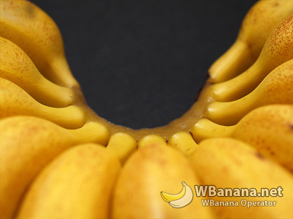 banana_17_600.jpg