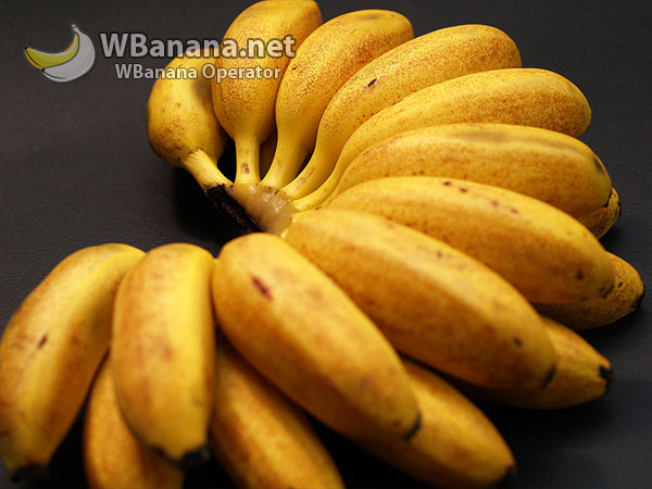 banana_22_600.jpg